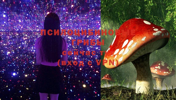 apvp Зеленодольск