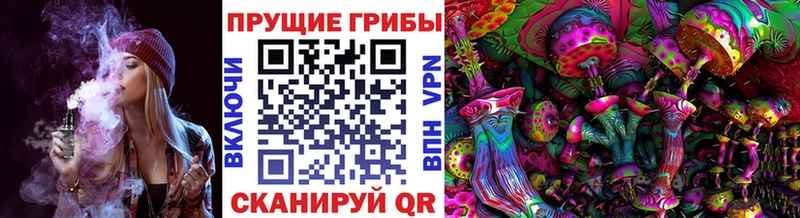 Купить  Луза  Псилоцибиновые грибы мухоморы 
