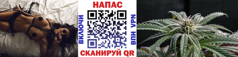 Купить закладки  Луза  Каннабис Amnesia 